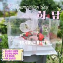 별하담떡케이크 | 서울 떡케이크 하담, 상견례선물부터 젠더리빌까지