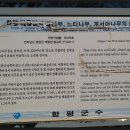 탐방 - 함평군 대동면 향교리 느티나무, 팽나무, 개서어나무 숲..... 이미지