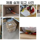 순동농장 티스토리