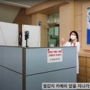 삼양초 이미지
