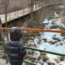 피노키오 인형뽑기 | 강원도 원주 피노키오숲캠핑장 키즈캠핑장 아이랑