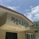 파주 캠핑장 추천 | 그늘 많은 여름 캠핑장 기산오토캠프 | 자유로운 올빼미 캠핑장