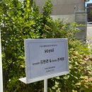 라서영헤어룸 | wෆ11. 스튜디오 촬영 / 소율 스튜디오/아비가일/엘레바또/라메종뷰티/ 그해가을서영