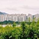 낙동강변2 이미지