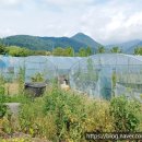 동진부동산중개사무소 이미지