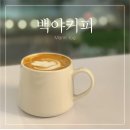 동그리멍 | 강릉 대형 베이커리카페 백야커피 내돈내산 (강릉 카페추천, 주차, 노키즈존 안내)