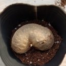 해원농장 이미지