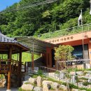 전치 앞(1) 이미지