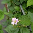 영구네농장 이미지