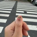 젤리민네일