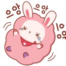 란주라면 이미지