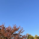 사운즈커피미니수성구청점 이미지