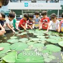 앞마당 어린이 공원 이미지