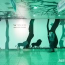 잠실역 지하상가 이미지