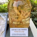 농업회사법인 현대바이오 주식회사 이미지