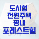 타워진부동산공인중개사사무소 | 단지 평내 포레스트힐 Vol.1-(Feat.벽난로 따뜻한 집) 남양주 전원주택 단지 타운하우스 평내호평진부동산