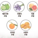 모가닉