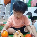 유안농장 이미지