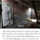 경찰 : 경복궁 낙서 테러 용의자들 신원 특정 ㄷㄷ...NEWS 이미지
