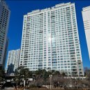 분당-141 이미지