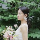 리우드레스 이미지
