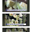 사이랩 Daum카페