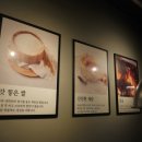 에그린농장 이미지