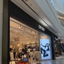 샤론장 | 안다르 에어쿨링 샤론 부츠컷 레깅스 바지 내돈내산