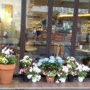 엔제리너스 부산대역 이미지