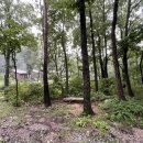 용추휴양림(상) 이미지