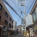 종로구립 박노수미술관 | 종로구립 박노수 미술관 후기
