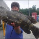 서해대교바다낚시터 이미지