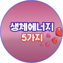 치유의 방 이미지