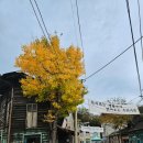 드라마촬영장 관광안내소 이미지