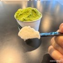 젤마씨 | 제주도 디저트 맛집 제주 노형 카페 아이스크림 젤라또 전문점 젤마씨
