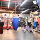 상록복싱체육관 이미지