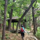 꽃마을 약수터 이미지