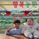 희준농장 네이버블로그