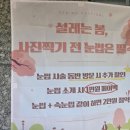 작전역 | 작전역 속눈썹펌 하니즈 후기