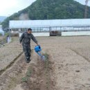 준서농장 이미지