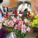 (주)봄날애 이미지