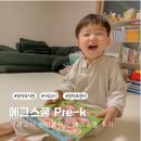 (주)대신환경 | 7세고시 영어유치원 대신 엄마표영어 에그스쿨 후기