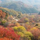 비밀의정원 이미지