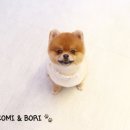 엠케이그루밍샵 이미지