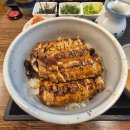 힘력풍천장어 | [강원|삼척|맛집] 삼척 장어덮밥 맛집 힘력풍천장어, 기운이 불끈! 어르신 식사대접 딱 좋은 곳