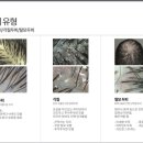 에코레비헤어헤드스파광주 이미지