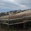 오 행 | [강원] 민둥산 증산초교 1코스 등반 후기