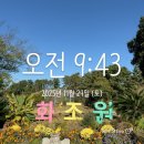 엠버농장 이미지