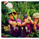 만석군농장 이미지