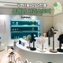 강남 신세계 백화점 데이트 가볼만한곳! 루메나 시즌 스토어